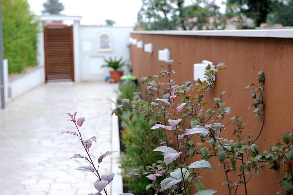 B&B Sun House Modugno Kültér fotó